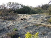 La Panne - Leffrinckoucke - 14/05/2010