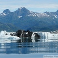 Columbia  bay, Columbia glacier, Prince William sound cruise, Alaska