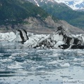 Columbia  bay, Columbia glacier, Prince William sound cruise, Alaska