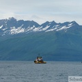 Prince William sound cruise, Alaska