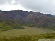 Denali Park, Alaska