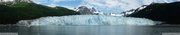 Meares glacier, Prince William sound cruise, Alaska _180