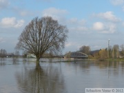 Crue de la Lys 2012 à Frelinghien (2m80)