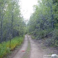 Road to Red Ridge, Yukon