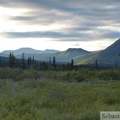 Red Ridge area, Yukon