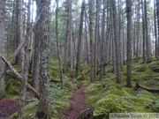 AB mountain, Skagway, Alaska