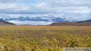 Chilkat Pass, Alsek-Tatchenchini Park, Colombie Britannique, Canada