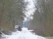 Terril Sabatier - Forêt de Raismes, 11 fév. 2013