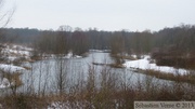 Terril Sabatier - Forêt de Raismes, 11 fév. 2013