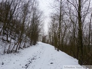 Terril Sabatier - Forêt de Raismes, 11 fév. 2013