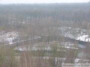 Terril Sabatier - Forêt de Raismes, 11 fév. 2013