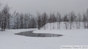 Terril Sabatier - Forêt de Raismes, 11 fév. 2013