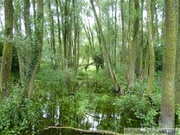 Parc de la Deûle (Santes, Houplin-Ancoisne et Wavrin)