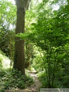 Jardin écologique de Lille (rue du Guet)