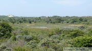 Dune Marchand, Bray-Dunes