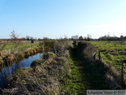 Du Bocage au Marais (Buysscheure, Nieurlet, Clairmarais)