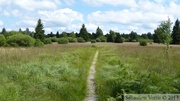 Kutenhard, Hautes Fagnes