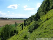 Riez du Mont de Boffles