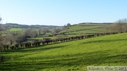 Sentier du Nordal (Acquin-Westbécourt)