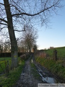 Sentier du Nordal (Acquin-Westbécourt)