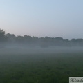 Marais de Noyelle dans le brume