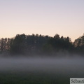 Marais de Noyelle dans le brume