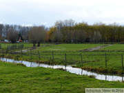 Prairies humides, Saint-Venant