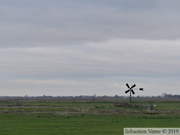 Autour du Zaanse Schans, Les Moulins du Zaans