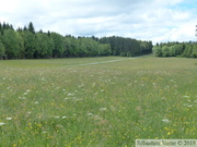 Prairies à Comté, lisière de la Forêt de la Joux