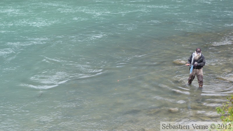 Pêcheur, Homo sapiens qui n'a pas peur des ours ! Chilkoot River, Haines, Alaska