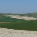 Ballade Sangatte-Cap Blanc-Nez 02/05/2011