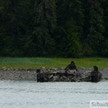 Wrangell Narrows, Inside Passage