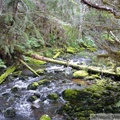 Ruisseau, Petersburg, Alaska