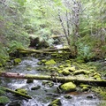 Ruisseau, Petersburg, Alaska