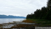 Plage près de Petersburg, Alaska