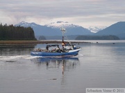 A la sortie du Wrangell narrows