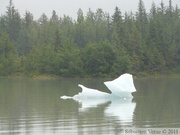 Mendenhall Lake, Juneau, Alaska