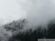 Mendenhall glacier, Juneau, Alaska