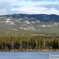 Grey Mountain, Whitehorse, Yukon