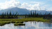 Alaska Highway (côté Alaska side) - Tetlin National Wildlife Refuge - Glenn Highway