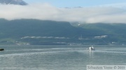 Terminal pétrolier, Valdez, Prince William sound cruise, Alaska