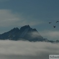 Prince William sound cruise, Alaska