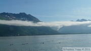 Prince William sound cruise, Alaska