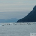 Columbia  bay, Columbia glacier, Prince William sound cruise, Alaska