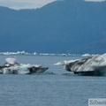 Columbia  bay, Columbia glacier, Prince William sound cruise, Alaska