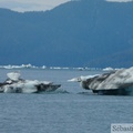 Columbia  bay, Columbia glacier, Prince William sound cruise, Alaska