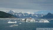 Columbia  bay, Columbia glacier, Prince William sound cruise, Alaska