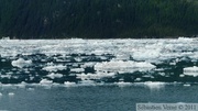 Columbia  bay, Columbia glacier, Prince William sound cruise, Alaska