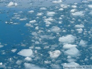 Columbia  bay, Columbia glacier, Prince William sound cruise, Alaska