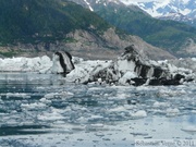 Columbia  bay, Columbia glacier, Prince William sound cruise, Alaska